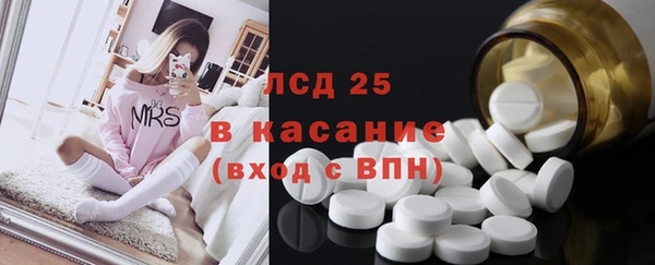 ГАЛЛЮЦИНОГЕННЫЕ ГРИБЫ Снежногорск