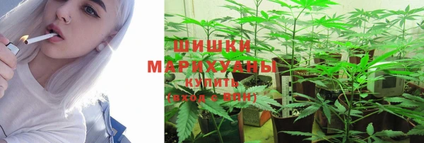 ГАЛЛЮЦИНОГЕННЫЕ ГРИБЫ Снежногорск