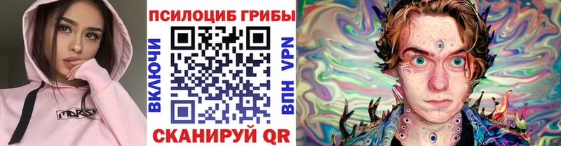 Купить  Ардатов  Галлюциногенные грибы Magic Shrooms 